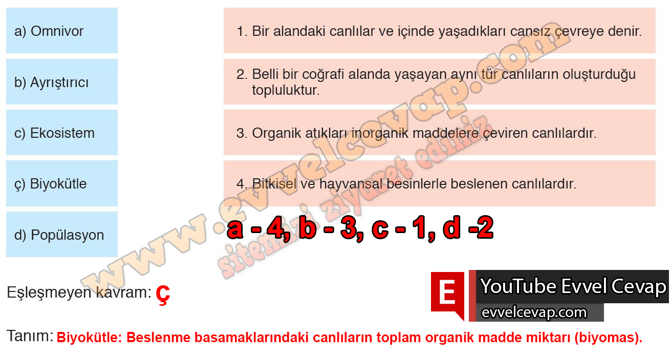 10. Sınıf Biyoloji Meb Yayınları Ders Kitabı Cevapları Sayfa 163