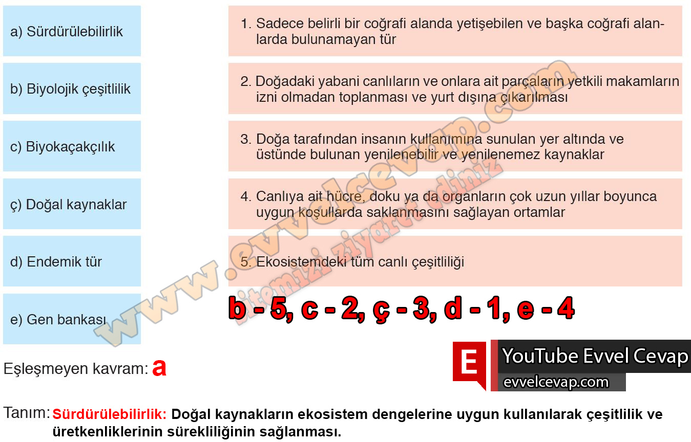 10. Sınıf Biyoloji Meb Yayınları Ders Kitabı Cevapları Sayfa 210