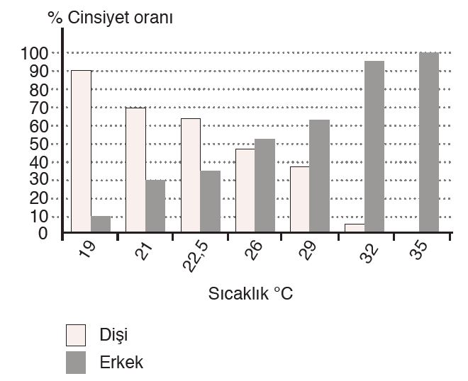 10. Sınıf Biyoloji Meb Yayınları Ders Kitabı Cevapları Sayfa 213