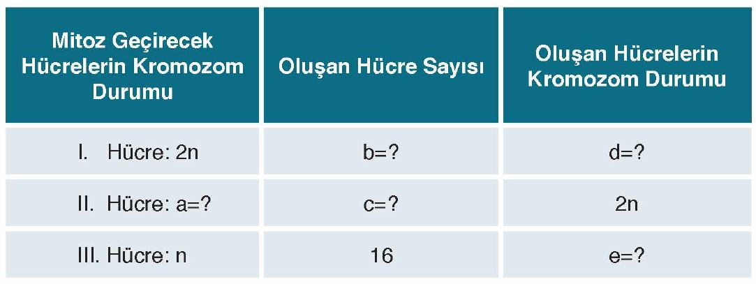 10. Sınıf Biyoloji Meb Yayınları Ders Kitabı Cevapları Sayfa 29