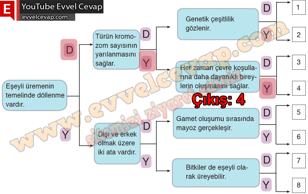 10. Sınıf Biyoloji Meb Yayınları Ders Kitabı Cevapları Sayfa 69
