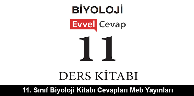 11. Sınıf Biyoloji Ders Kitabı Cevapları Meb Yayınları