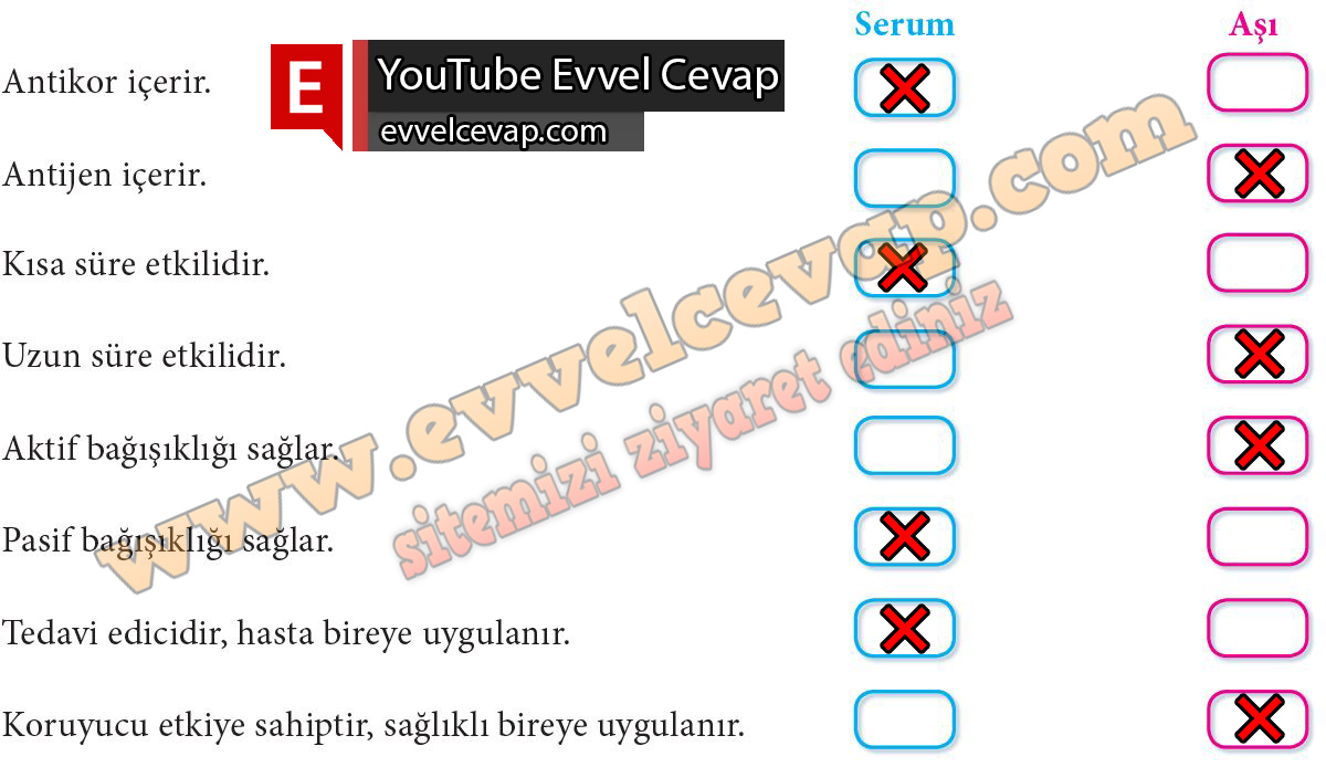 11. Sınıf Biyoloji Meb Yayınları Ders Kitabı Cevapları Sayfa 133