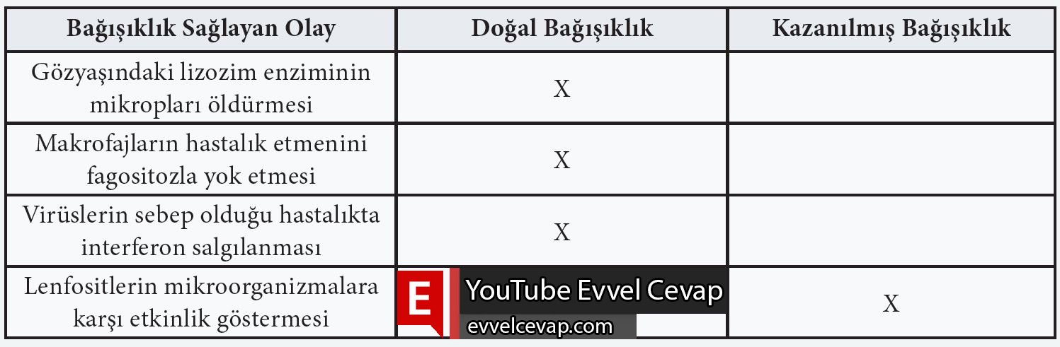 11. Sınıf Biyoloji Meb Yayınları Ders Kitabı Cevapları Sayfa 192
