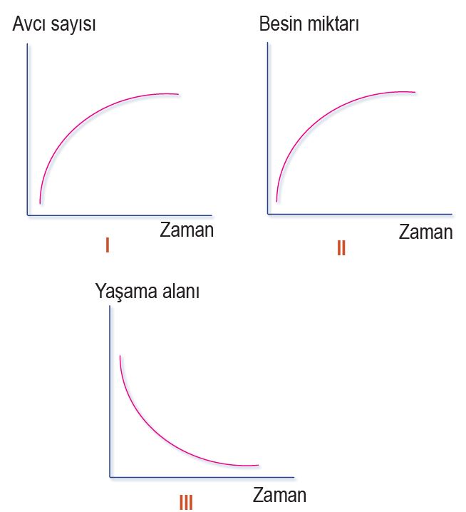 11. Sınıf Biyoloji Meb Yayınları Ders Kitabı Cevapları Sayfa 231