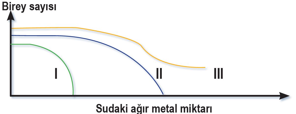 11. Sınıf Biyoloji Meb Yayınları Ders Kitabı Cevapları Sayfa 234