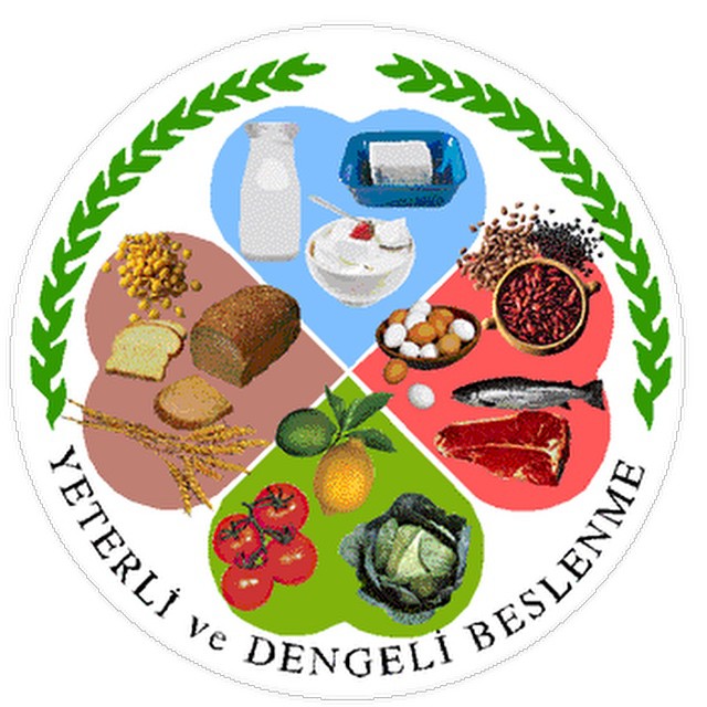 Dengeli beslenme ile ilgili afiş çalışması yapınız.