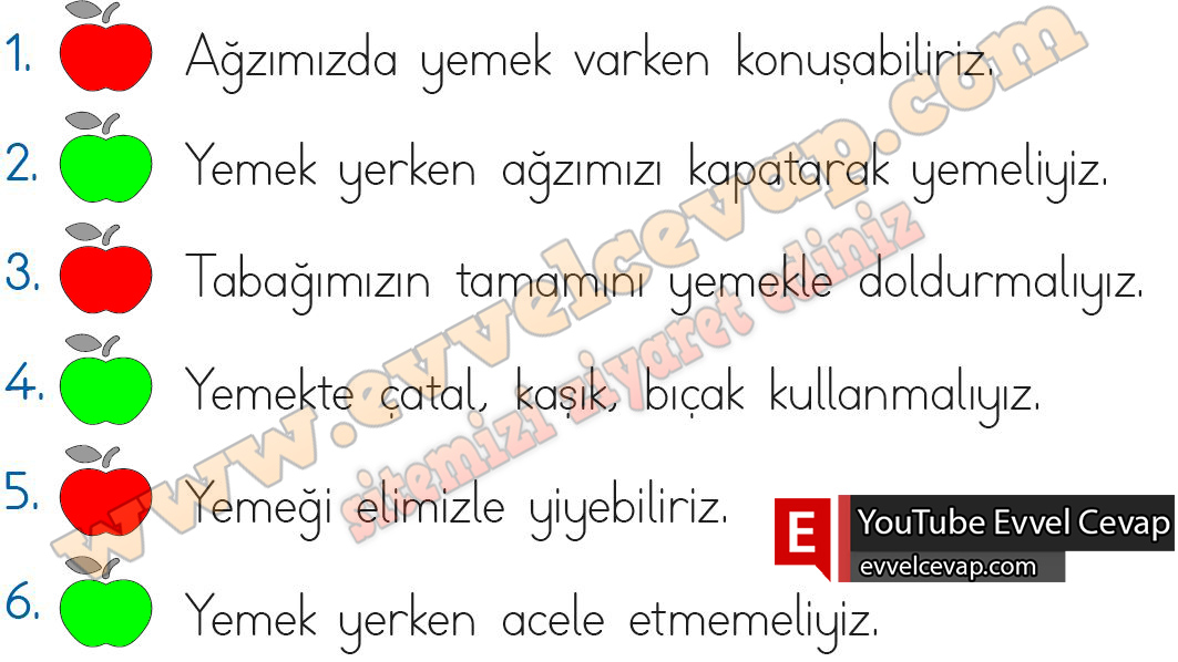 2. Sınıf Hayat Bilgisi Meb Yayınları Ders Kitabı Sayfa 117 Cevabı