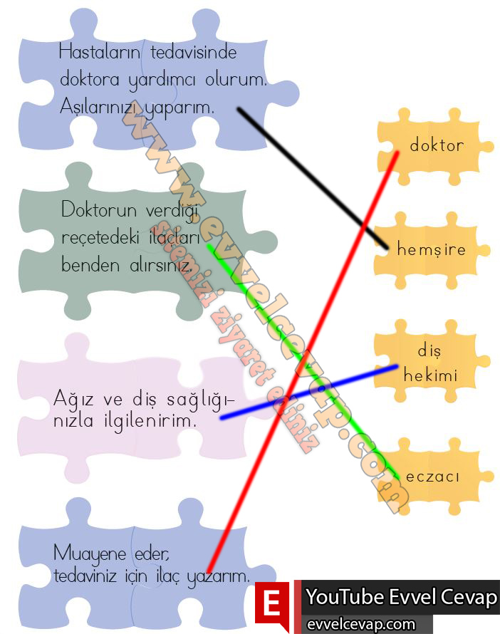 2. Sınıf Hayat Bilgisi Meb Yayınları Ders Kitabı Sayfa 126 Cevabı