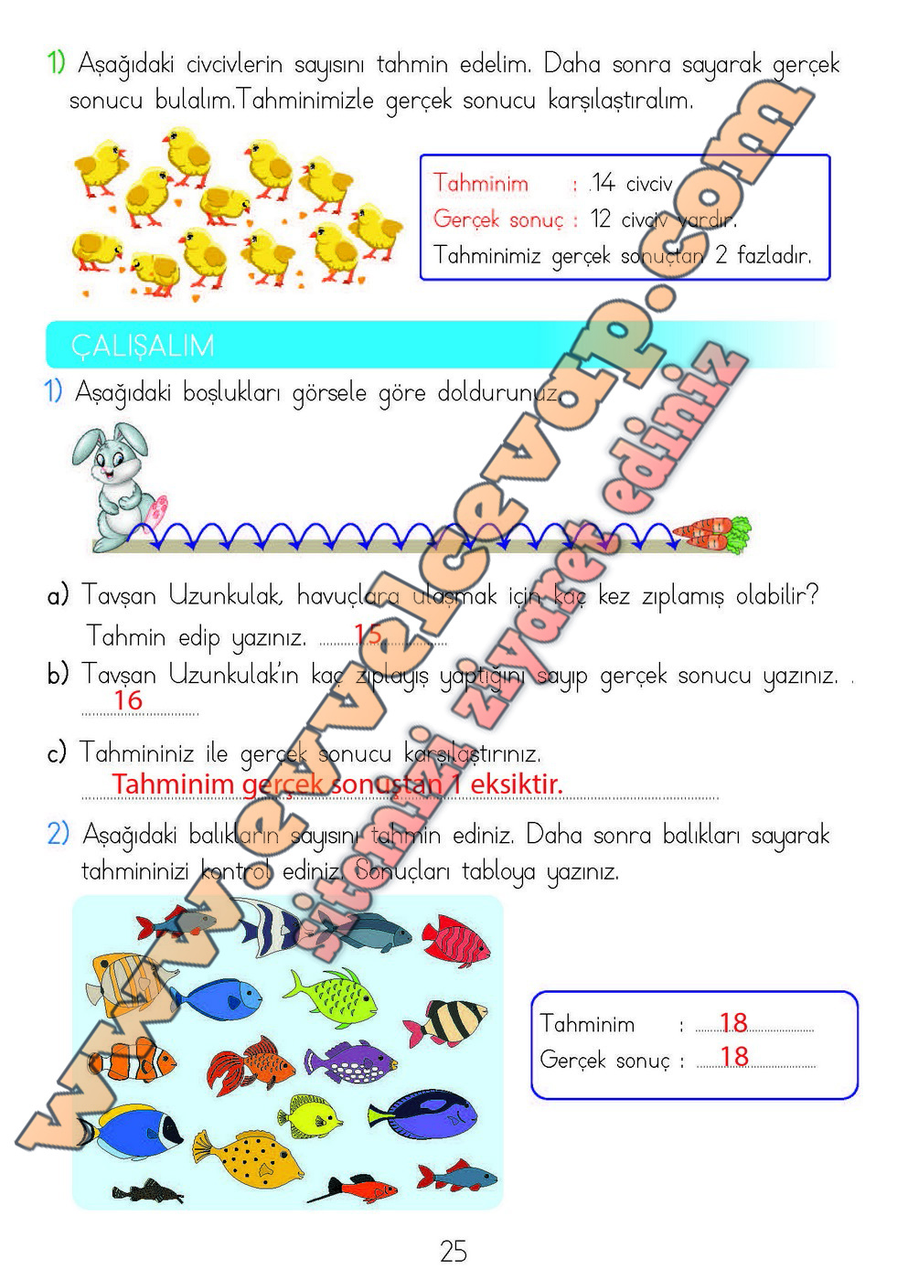 2. Sınıf Matematik Meb Yayınları Ders Kitabı Cevapları Sayfa 25