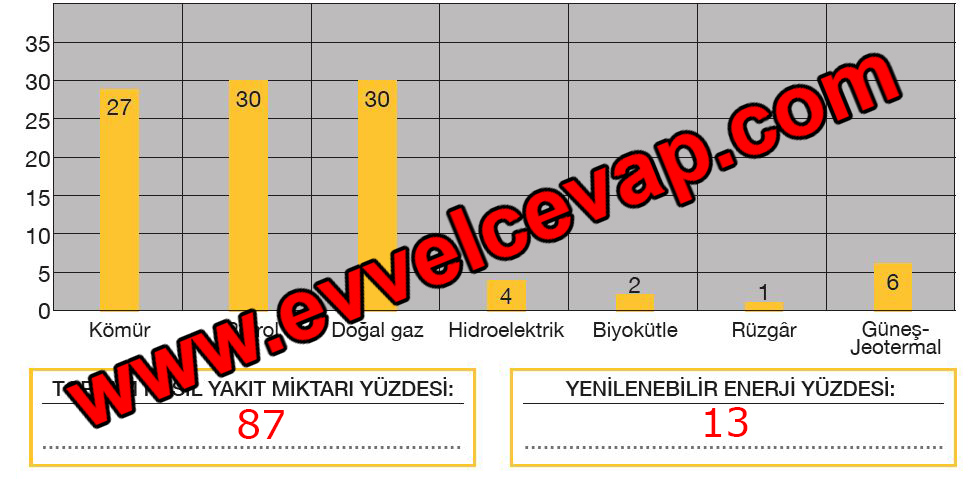 6. Sınıf Fen Bilimleri Meb Yayınları Ders Kitabı Cevapları Sayfa 140