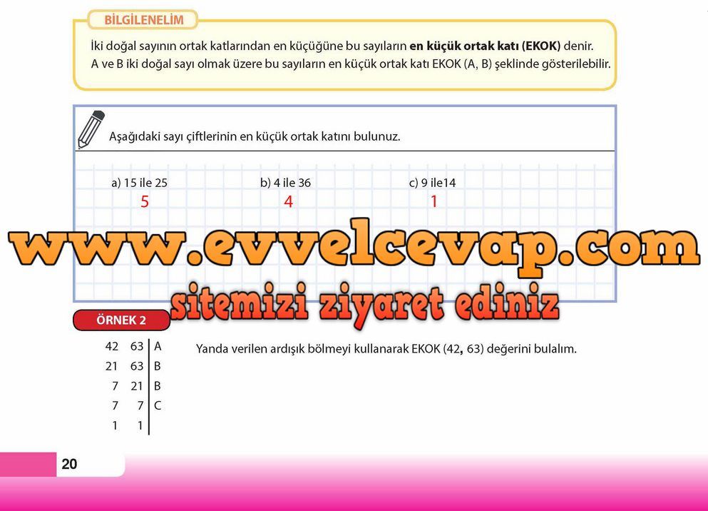 8. Sınıf Matematik Ders Kitabı Cevapları Sayfa 20 Meb Yayınları