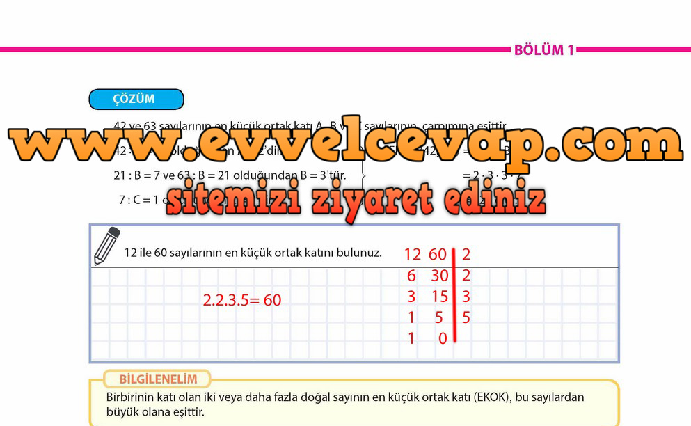 8. Sınıf Matematik Ders Kitabı Cevapları Sayfa 21 Meb Yayınları
