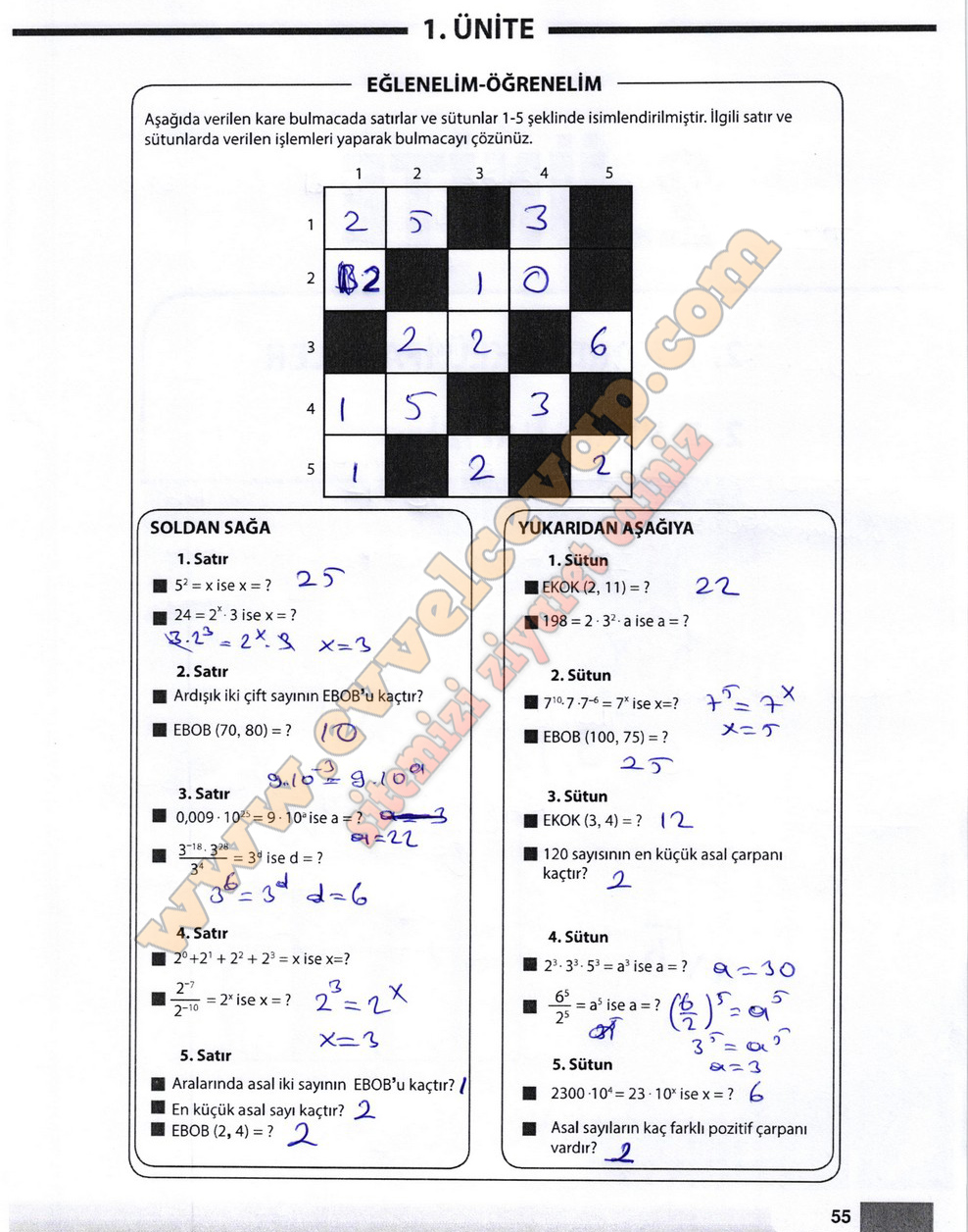 8. Sınıf Matematik Meb Yayınları Ders Kitabı Sayfa 55 Cevapları