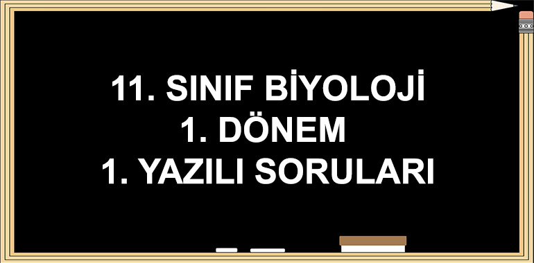 11. Sınıf Biyoloji 1. Dönem 1. Yazılı Soruları