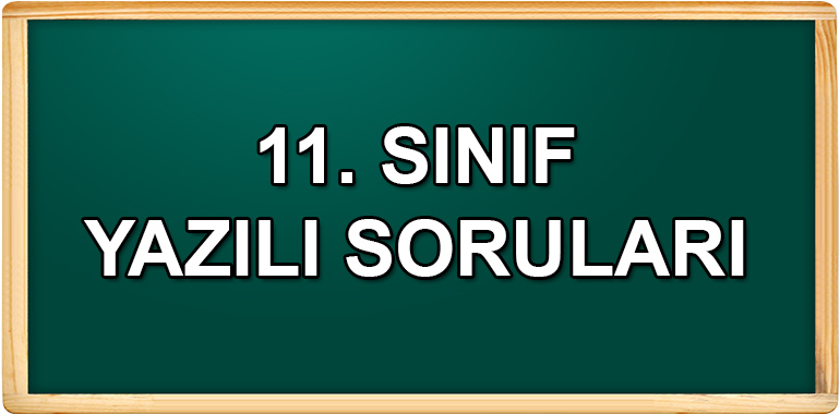 11. Sınıf Yazılı Soruları ve Cevapları