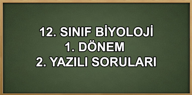 12. Sınıf Biyoloji 1. Dönem 2. Yazılı Soruları