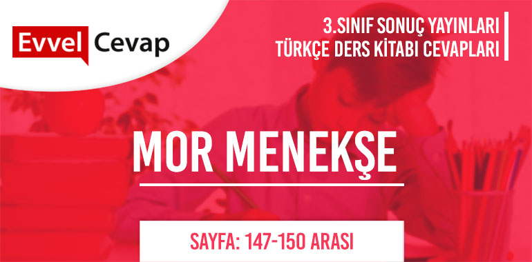 3. Sınıf Sonuç Yayınları Türkçe Ders Kitabı Cevapları Sayfa 147-148-149-150