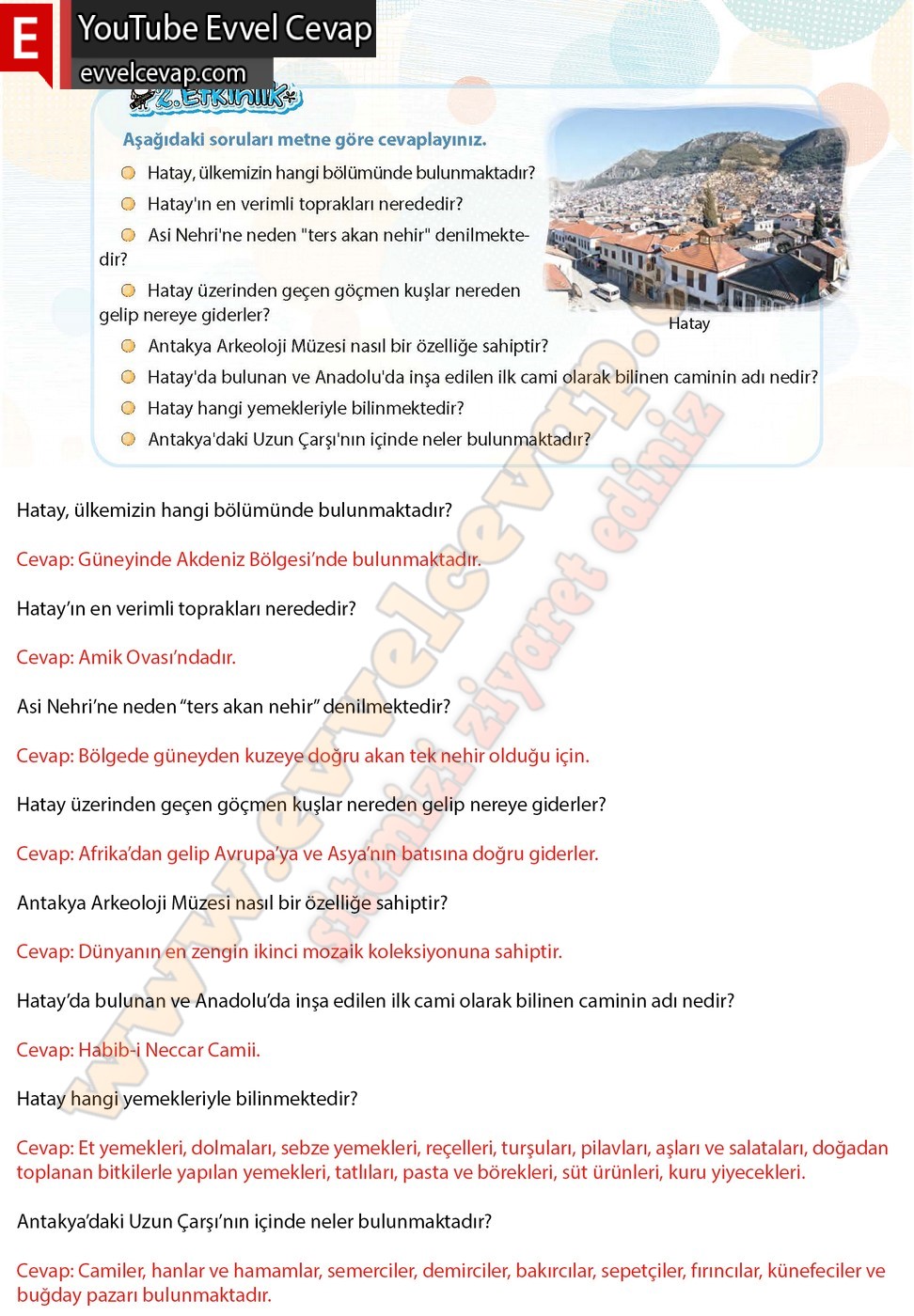4. sınıf Koza Yayınları T&uuml;rk&ccedil;e Ders Kitabı Cevapları Sayfa 117