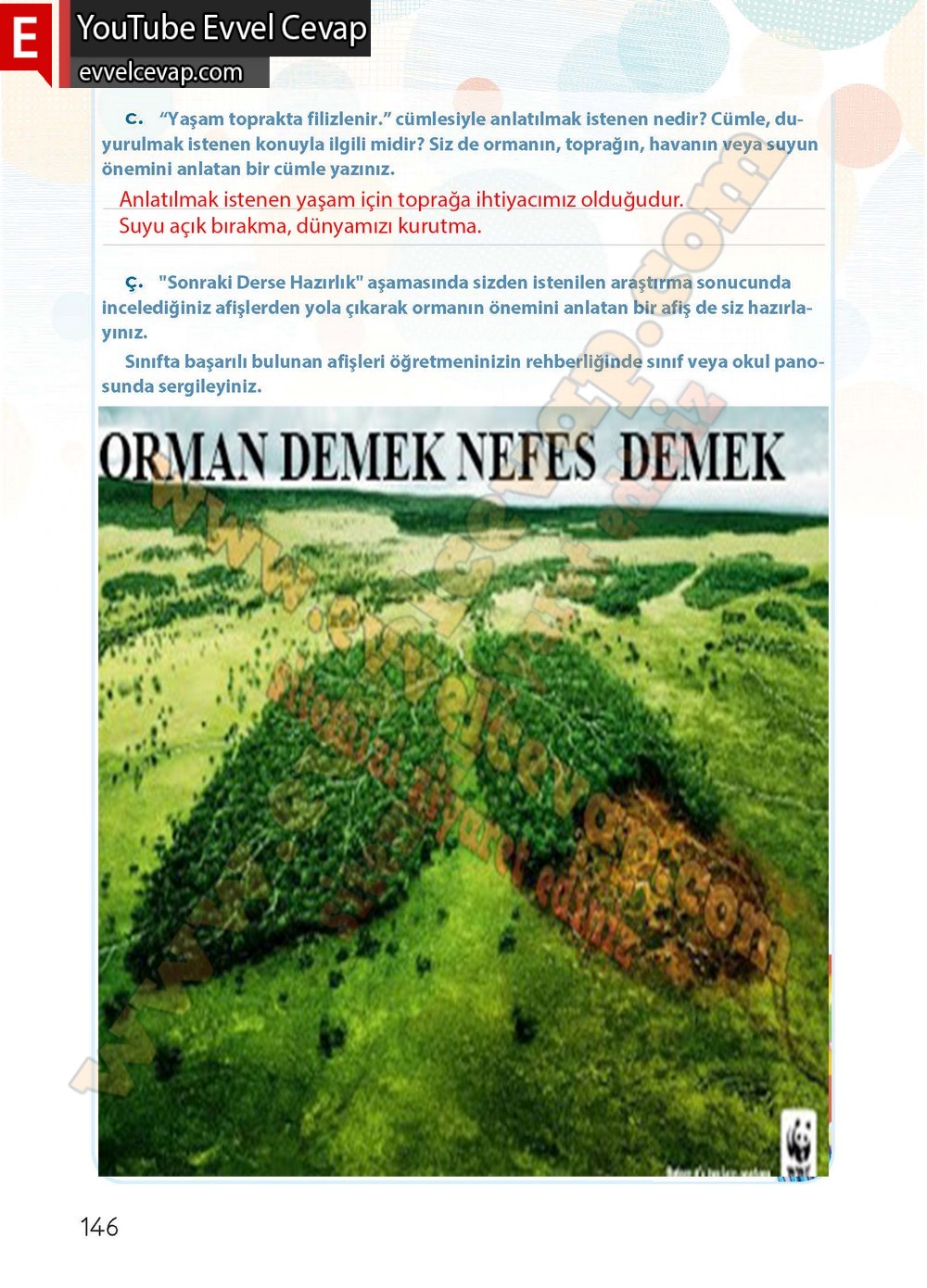 4. sınıf Koza Yayınları T&uuml;rk&ccedil;e Ders Kitabı Cevapları Sayfa 146