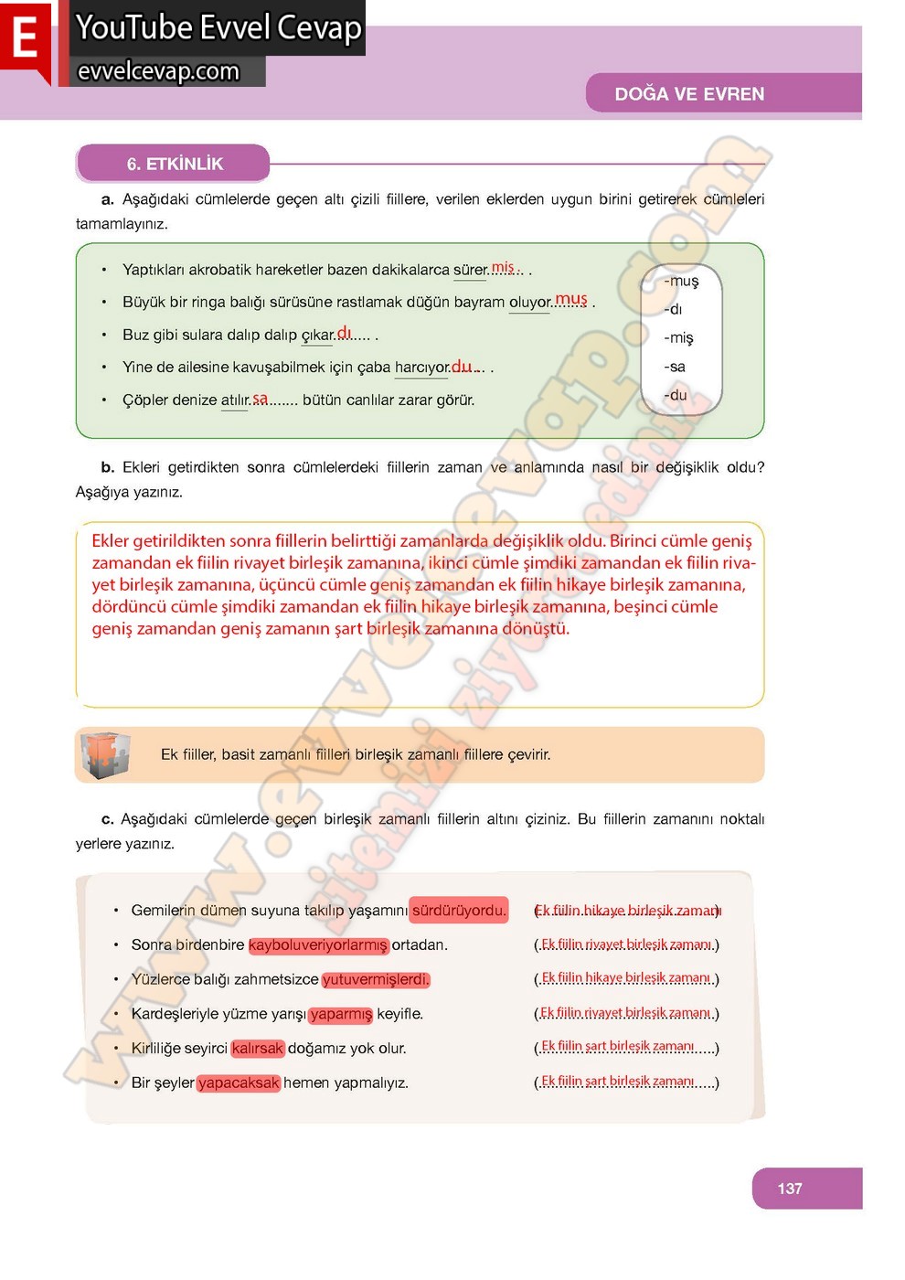 7. Sınıf &Ouml;zg&uuml;n Yayınları T&uuml;rk&ccedil;e Ders Kitabı Cevapları Sayfa 137