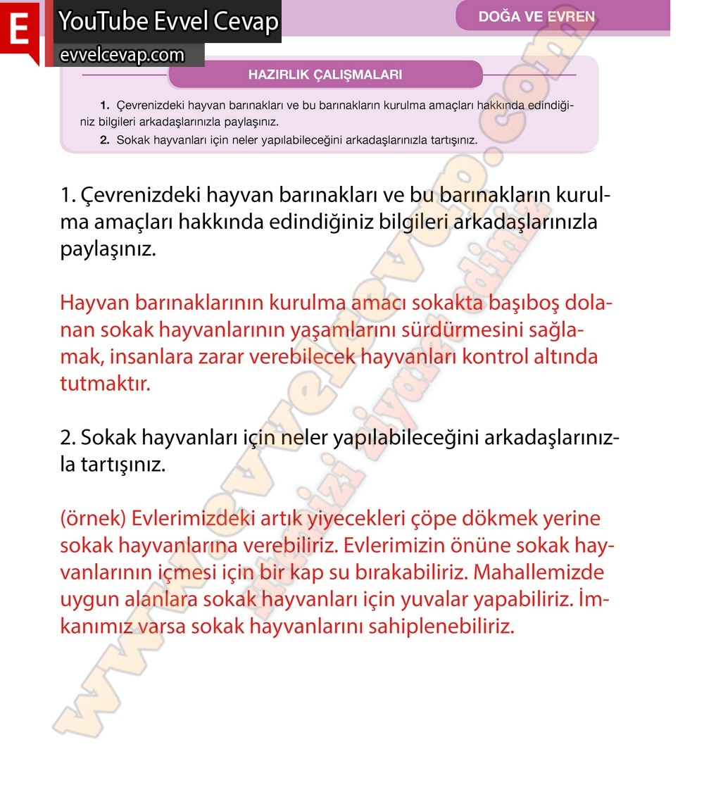 7. Sınıf &Ouml;zg&uuml;n Yayınları T&uuml;rk&ccedil;e Ders Kitabı Cevapları Sayfa 141