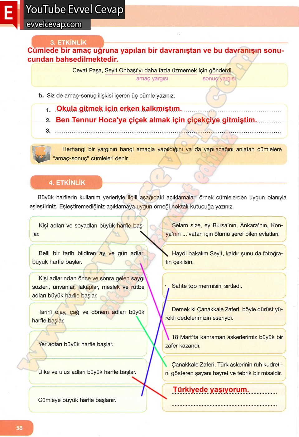 7. Sınıf &Ouml;zg&uuml;n Yayınları T&uuml;rk&ccedil;e Ders Kitabı Cevapları Sayfa 58