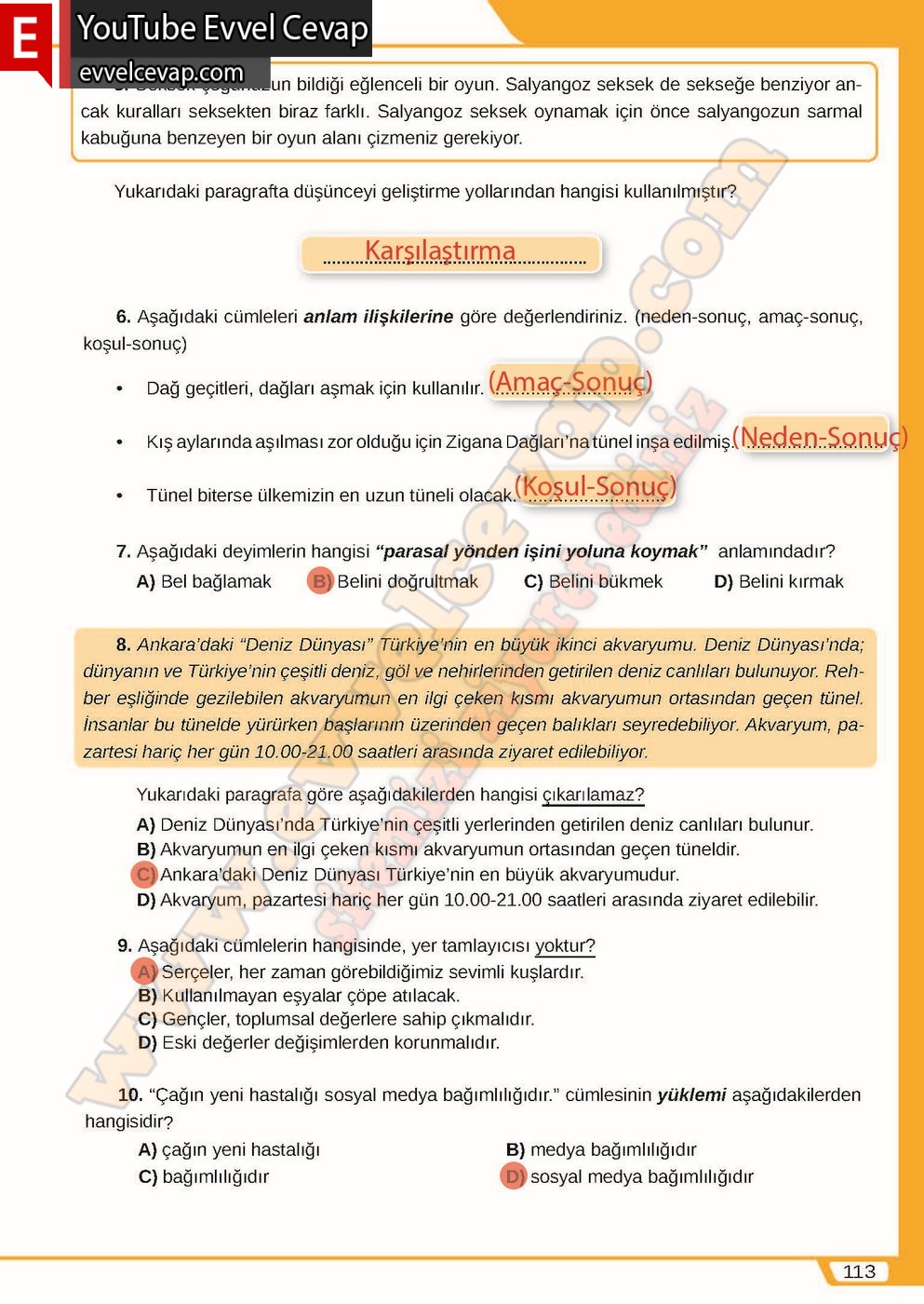 8. sınıf Meb Yayınları T&uuml;rk&ccedil;e Ders Kitabı Cevapları Sayfa 113