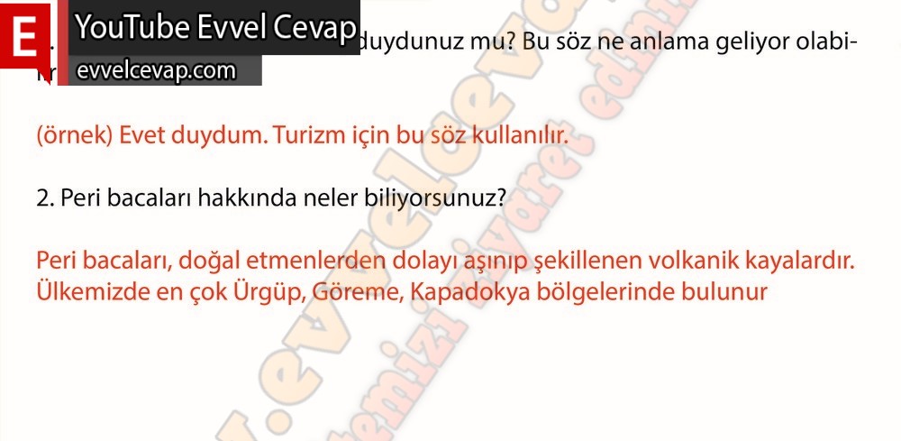 8. sınıf Meb Yayınları T&uuml;rk&ccedil;e Ders Kitabı Cevapları Sayfa 162