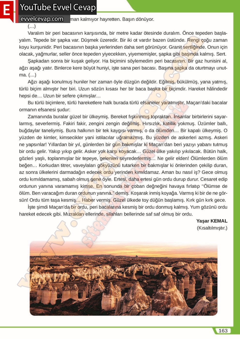 8. sınıf Meb Yayınları T&uuml;rk&ccedil;e Ders Kitabı Cevapları Sayfa 163