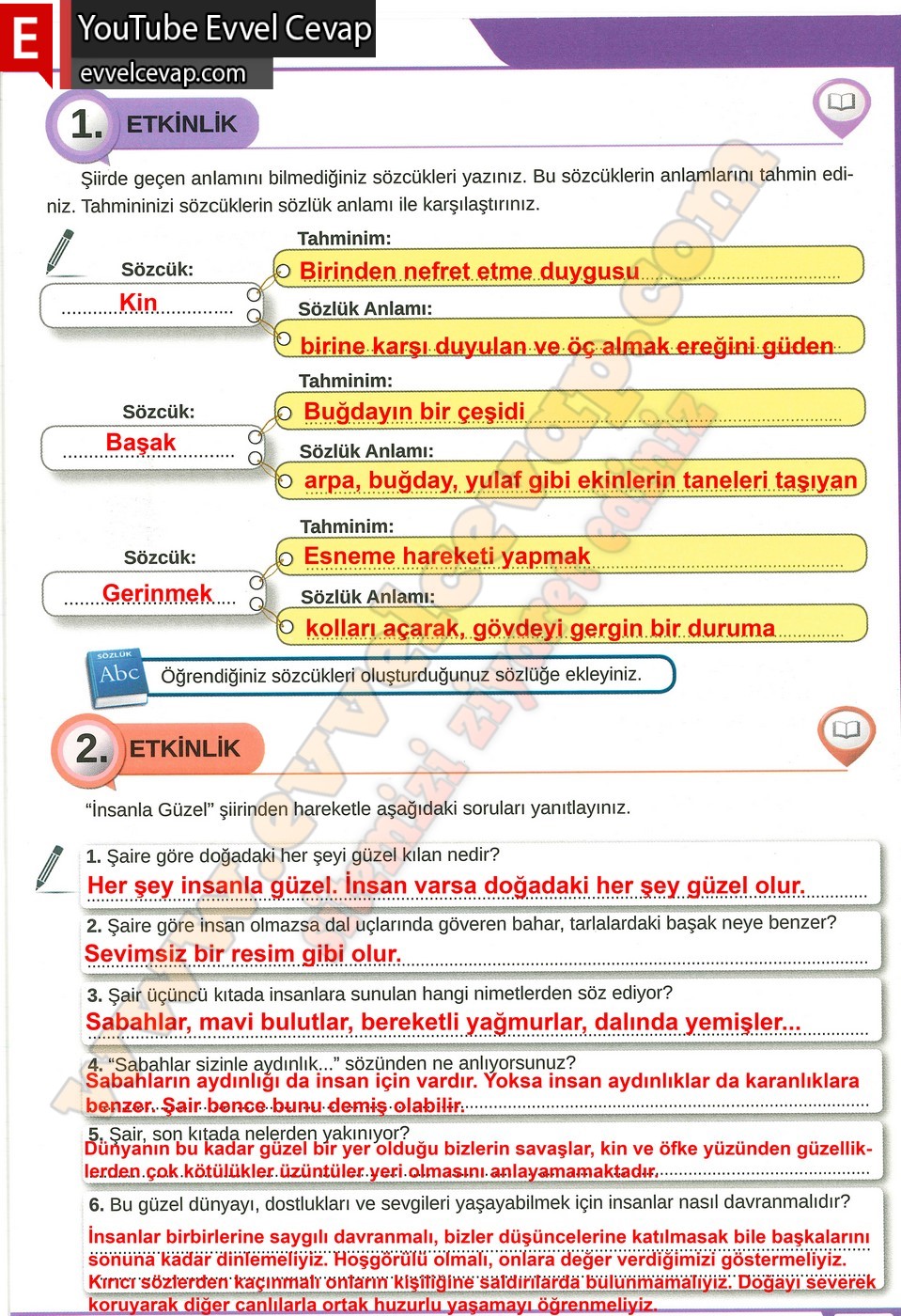 8. sınıf Meb Yayınları T&uuml;rk&ccedil;e Ders Kitabı Cevapları Sayfa 29