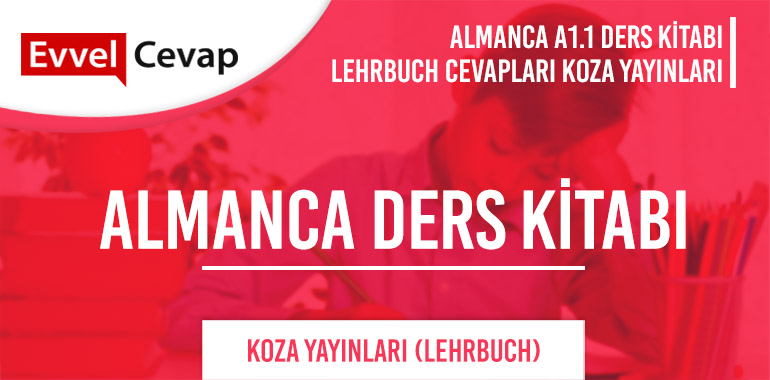 Almanca A1.1 Koza Yayınları Ders Kitabı Cevapları Sayfa 29