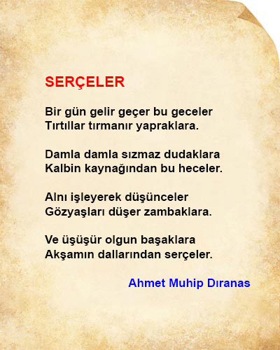 Serçeler Şiir İncelemesi