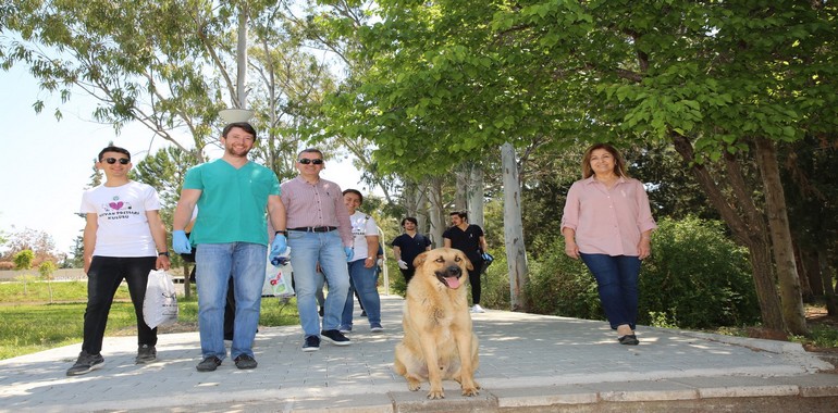 Kampüsteki Köpekler İçin Alınan Karardan Vazgeçildi!
