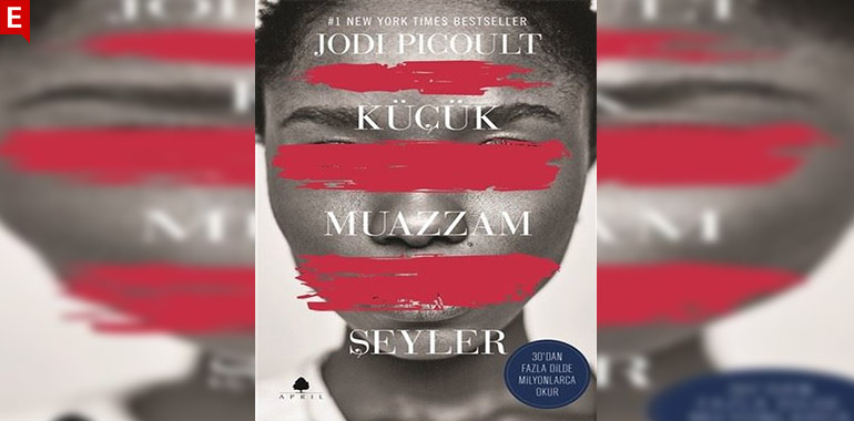 Küçük Muazzam Şeyler Kitap Özeti  Jodi Picoult