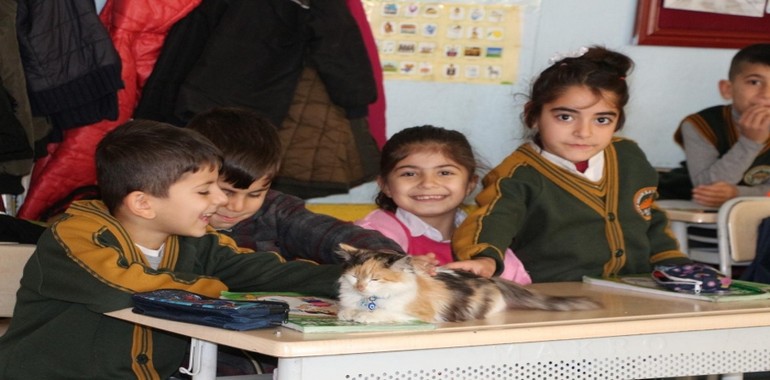 Şırnak’ta Öğrencilere Hayvan Sevgisini Aşıladı!