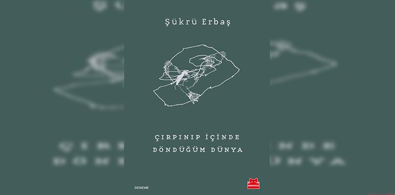 Çırpınıp İçinde Döndüğüm Dünya Kitap Özeti Şükrü Erbaş