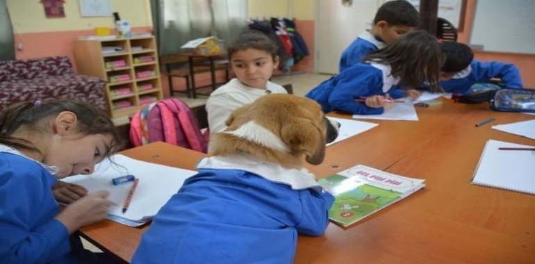 Okulun Maskotu Fındık