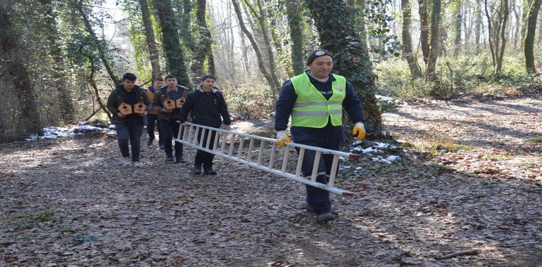 Teknik Lise Öğrencilerinden Kuşlar İçin Proje!