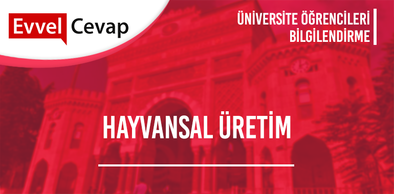 Hayvansal Üretim (Yüksekokul) Taban Puanları 2020