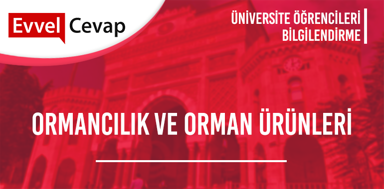 Ortopedik Protez ve Ortez 2 Yıllık Başarı Sıralaması 2020