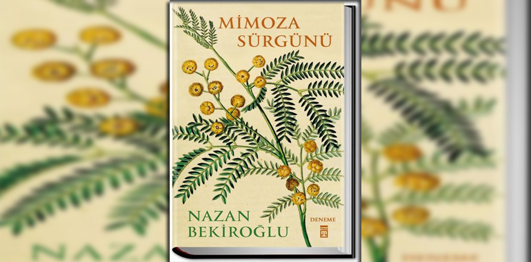 Mimoza Sürgünü Kitap Özeti Nazan Bekiroğlu