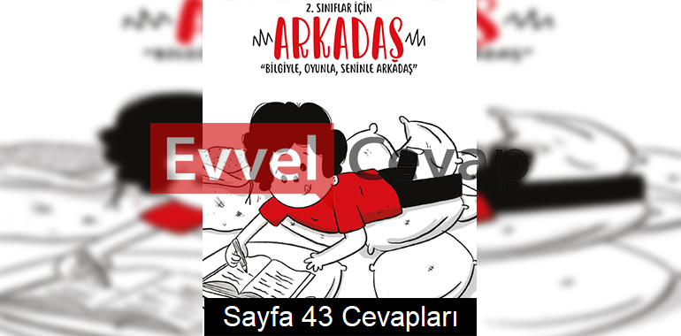2. Sınıf Arkadaş Tatil Kitabı Sayfa 43 Cevapları