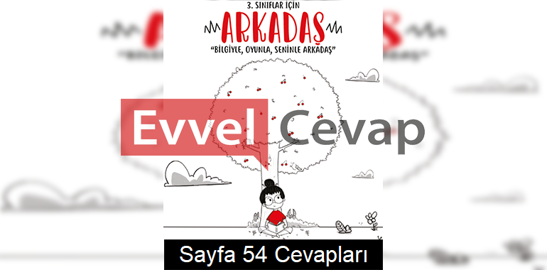 3. Sınıf Arkadaş Tatil Kitabı Sayfa 54 Cevapları