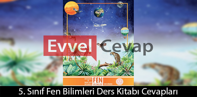 Merve, kurduğu düzeneğin içine aynaları aşağıdakilerden hangisi gibi yerleştirirse amacına ulaşmış olur?