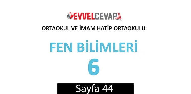 6. Sınıf Meb Yayınları Fen Bilimleri Ders Kitabı Sayfa 44 Cevapları
