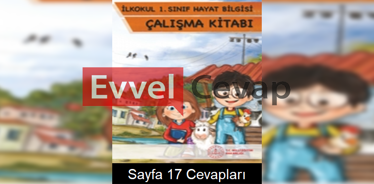 1. Sınıf Hayat Bilgisi Çalışma Kitabı Cevapları Sayfa 17