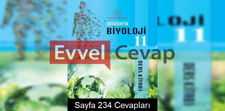 11. Sınıf Biyoloji Meb Yayınları Ders Kitabı Cevapları Sayfa 234