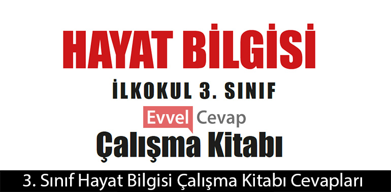 3. Sınıf Hayat Bilgisi Çalışma Kitabı Cevapları Meb Yayınları