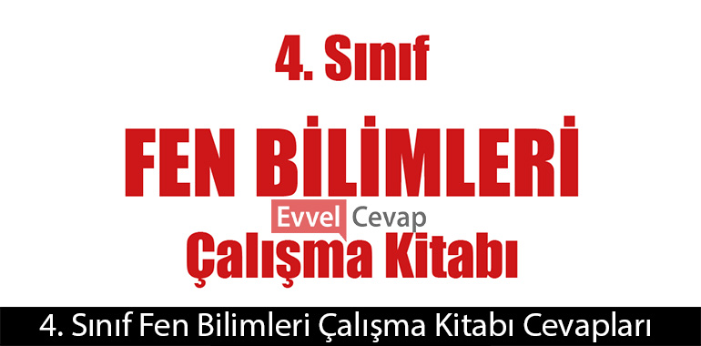 1. durumda neler olur? Açıklayınız.